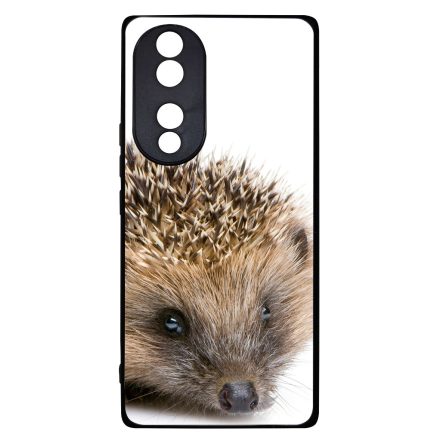 Cukis süni sündisznós őszi Honor 70 tok