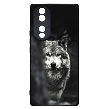 Az erdő farkasa wolf Honor 70 tok