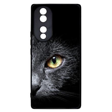 Csak a szemembe nézz - Cica Honor 70 tok