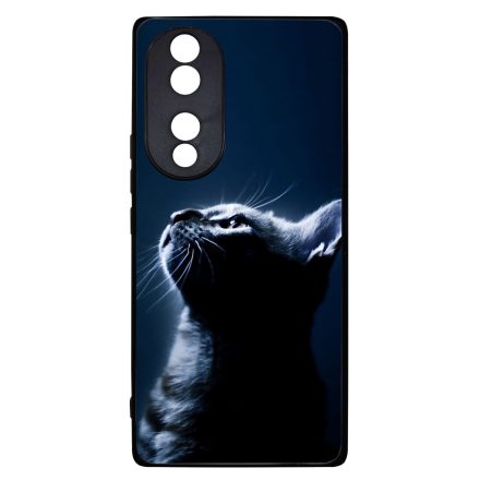 Álmodj nagyot cicás Honor 70 tok