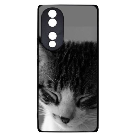 Tüneményes Cica Honor 70 tok