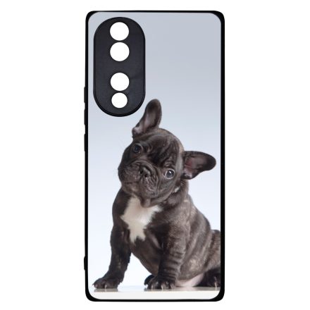 Tündéri Francia bulldog Honor 70 tok