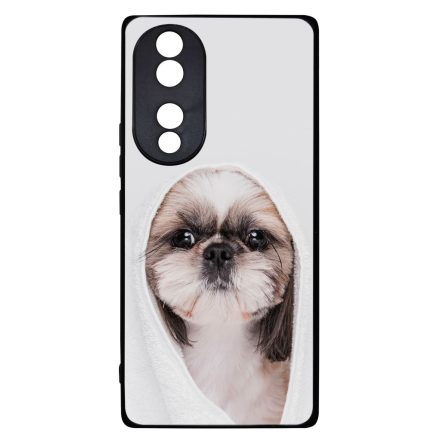 Tüneményes Shih-tzu Honor 70 tok