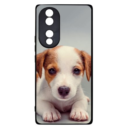 Angyali Jack Russel Terrier kis kutya Honor 70 tok
