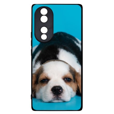 Szundizzunk egyet - Beagle Honor 70 tok