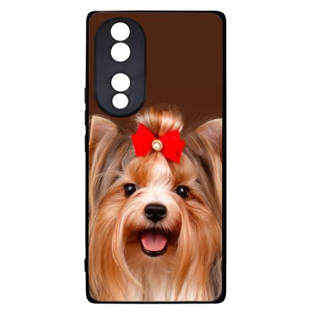 A legszebb Yorkshire Terrier Honor 70 tok