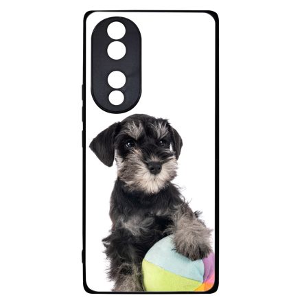 A család kis kedvence - Schnauzer Honor 70 tok