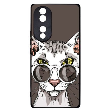 Hipster Szfinx cicus Honor 70 tok