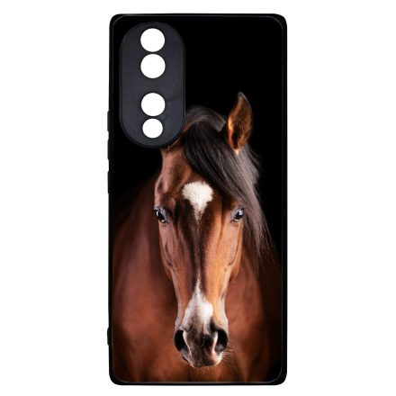A Lovam Táncos - Lovas Honor 70 tok