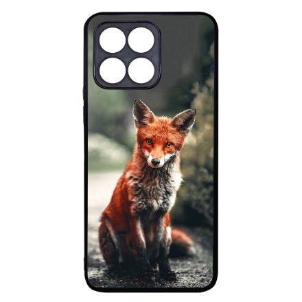Autumn Fox őszi róka Honor 70 Lite tok