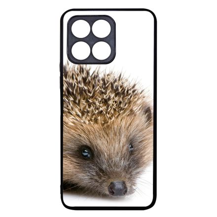 Cukis süni sündisznós őszi Honor 70 Lite tok