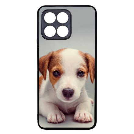 Angyali Jack Russel Terrier kis kutya Honor 70 Lite tok