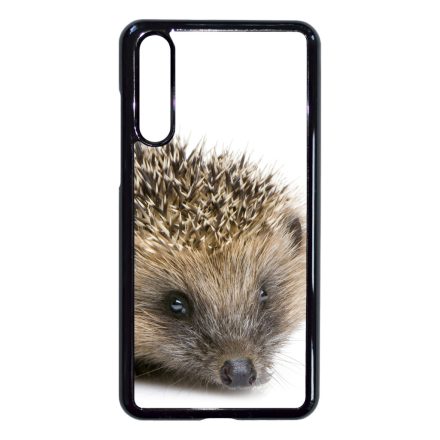 Cukis süni sündisznós őszi Huawei P20 Pro tok