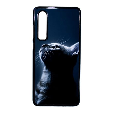Álmodj nagyot cicás Huawei P30 tok
