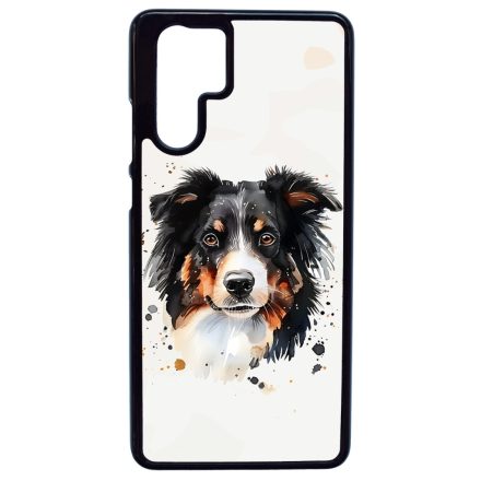 Border Collie Huawei P30 Pro tok
