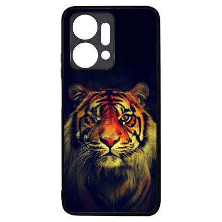 tigris tigrises tiger Honor X7a tok