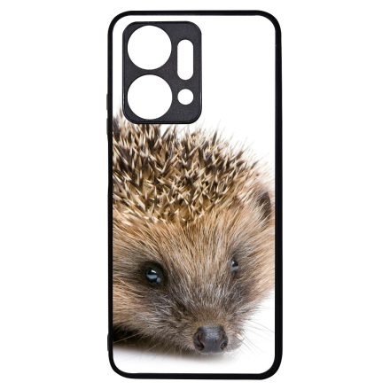 Cukis süni sündisznós őszi Honor X7a tok