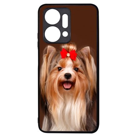 A legszebb Yorkshire Terrier Honor X7a tok