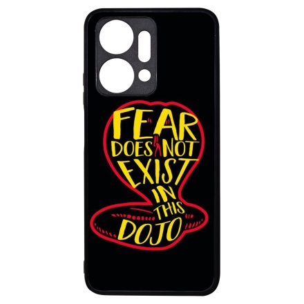 No Fear in Dojo - Cobra Kai Honor X7a tok