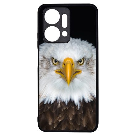 Amerikai sas Honor X7a tok
