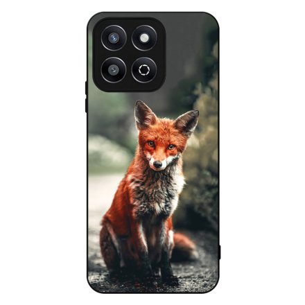 Autumn Fox őszi róka Honor X8b tok