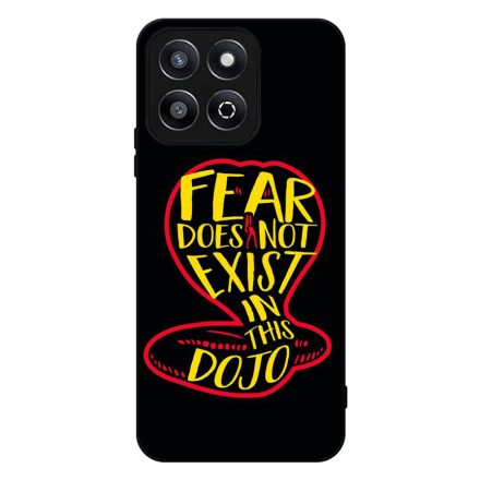 No Fear in Dojo - Cobra Kai Honor X8b tok
