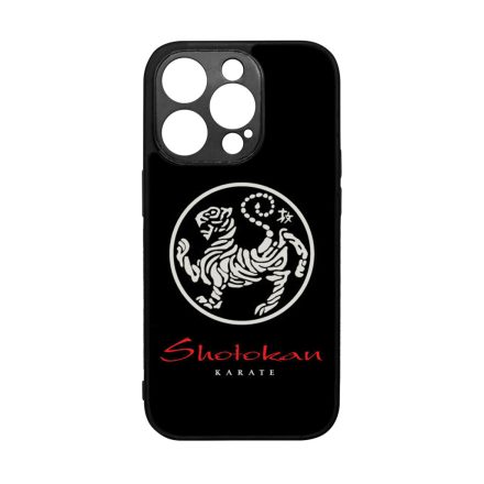 shotokan karate iPhone 14 Pro tok