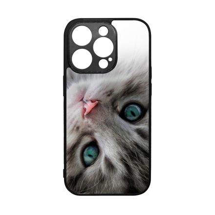cica cicás macskás iPhone 14 Pro tok
