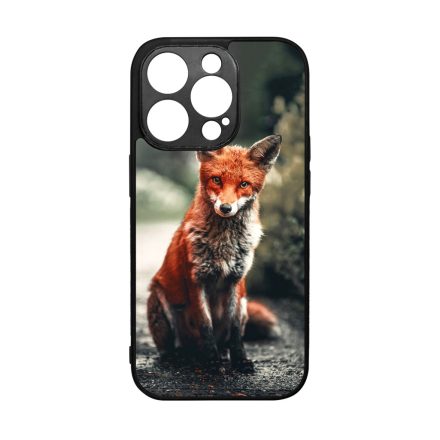 Autumn Fox őszi róka iPhone 14 Pro tok