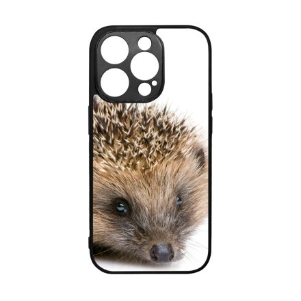 Cukis süni sündisznós őszi iPhone 14 Pro tok