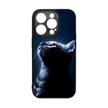 Álmodj nagyot cicás iPhone 14 Pro tok