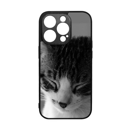 Tüneményes Cica iPhone 14 Pro tok
