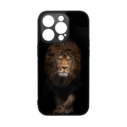 Oroszlankiraly Lion King Wild Beauty Csajos iPhone 14 Pro tok