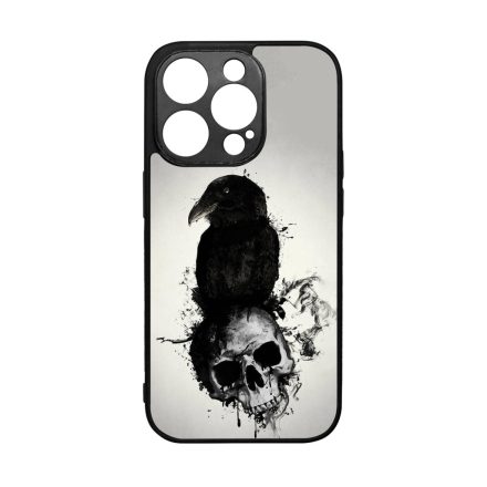Raven & Skull - Vikings iPhone 14 Pro tok