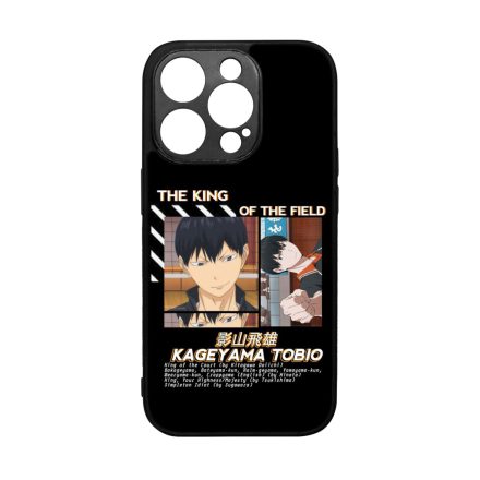 Kageyama the King of field iPhone 14 Pro tok