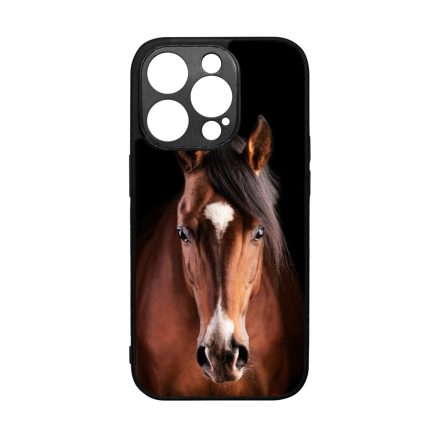 A Lovam Táncos - Lovas iPhone 14 Pro tok