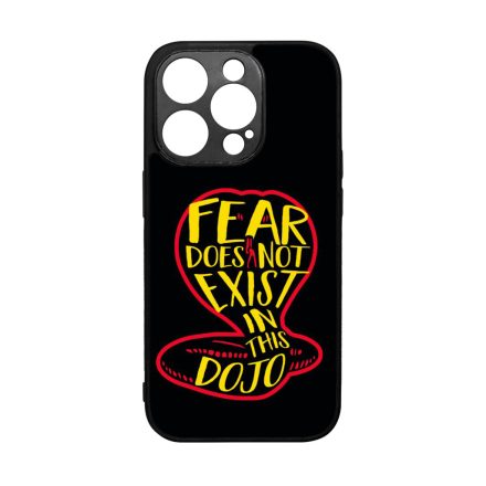 No Fear in Dojo - Cobra Kai iPhone 14 Pro tok