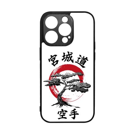 Classic Miyagi Do iPhone 14 Pro tok
