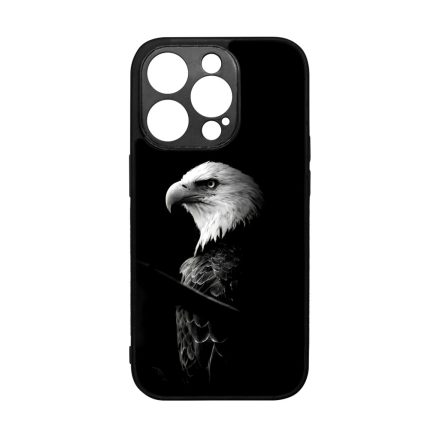 Sas iPhone 14 Pro tok