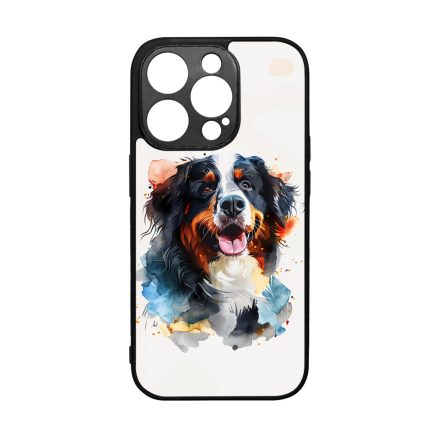 Bernáthegyi iPhone 14 Pro tok