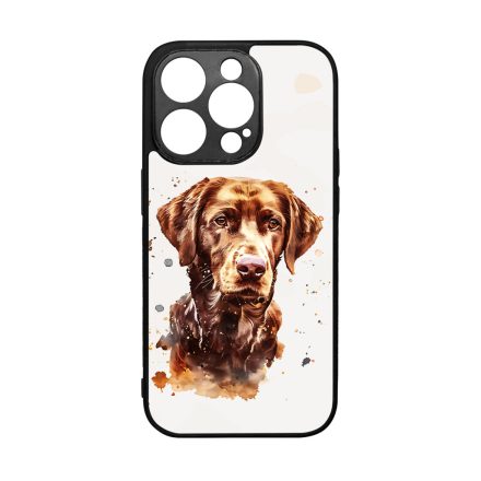 Göndörszőrű retriever iPhone 14 Pro tok