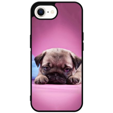 kölyök kutyus francia bulldog kutya iPhone 16e tok