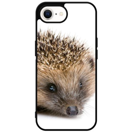 Cukis süni sündisznós őszi iPhone 16e tok