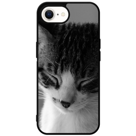 Tüneményes Cica iPhone 16e tok