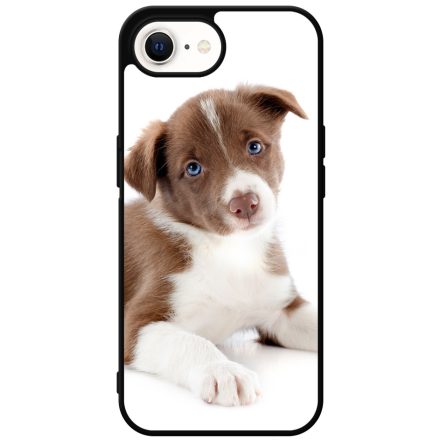 Édes Border Collie kölyök kutyus iPhone 16e tok