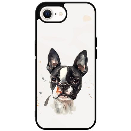 Boston Terrier 2 iPhone 16e tok
