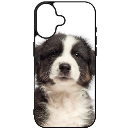 A legédesebb ausztrál juhász kis kutya iPhone szilikon tok