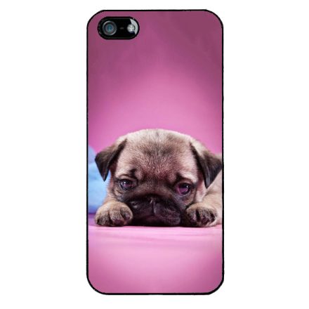 kölyök kutyus francia bulldog kutya iPhone 5-5s-SE (2016) tok