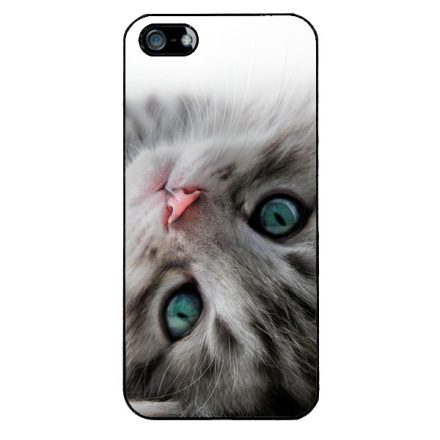 cica cicás macskás iPhone 5-5s-SE (2016) tok