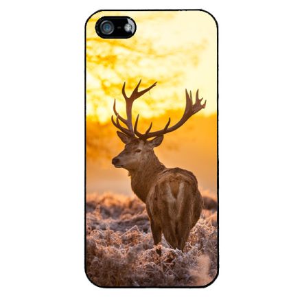 szarvas szarvasos agancs őszi iPhone 5-5s-SE (2016) tok